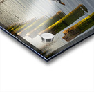 FS220930 041 Acrylic print