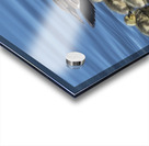 FS240422 430 Acrylic print