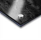 FS240430BW Acrylic print