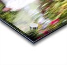 20240615 icm Acrylic print