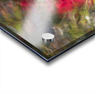 20240615 207 Acrylic print