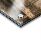fs240618DW Acrylic print