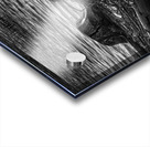FS240929 ROOTS BW Acrylic print