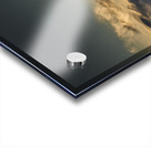 FS250201 FREE AS THE WIND Acrylic print