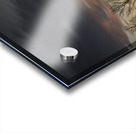 FS250125DW Acrylic print