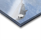 FS240229E Edit Acrylic print