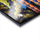 FS120331 ROPES Acrylic print