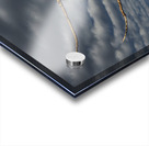 FS250211 EAGLES DW Acrylic print