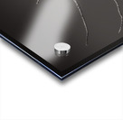 FS250211 EAGLES TWOGETHER B4 Acrylic print