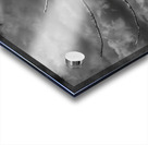 FS250211BW EAGLES CALLING Acrylic print