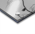 FS250209 TWO EAGLES TWOGETHER BW Acrylic print