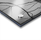 FS250209 ANTIQUE BW Acrylic print