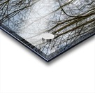 FS170409DW Acrylic print