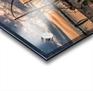 FS150326EE Acrylic print