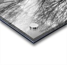 FS130323BW Acrylic print