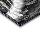 FS170606BW Acrylic print