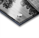 FS220925BW Acrylic print
