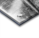 FS230104BW Acrylic print