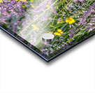 FS180604 Acrylic print