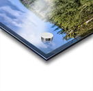 FS180626c2 Acrylic print