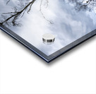 FS230306DW Acrylic print