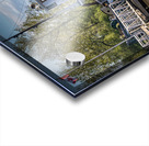 FS210426 SS Master Acrylic print
