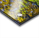 FS180630H  Acrylic print