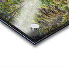 FS180630 20 Acrylic print