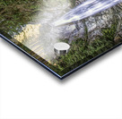 FS170915 04 Acrylic print
