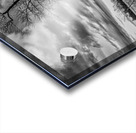 FS231231FA Acrylic print