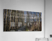 FS240207DW Acrylic Print