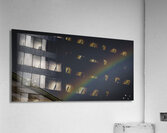 FS200522 Acrylic Print