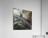 FS180417 SS Acrylic Print