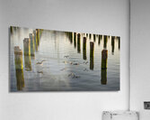 FS220930 041 Acrylic Print