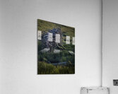 FS240430 ROOTS II Acrylic Print