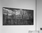 FS240318 Still Creek Acrylic Print