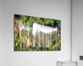 20240615 icm Acrylic Print