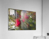 20240615 207 Acrylic Print