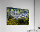 FS240615 VANCITY Acrylic Print
