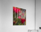 FS240615 Abstract Roses Acrylic Print