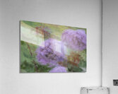 20240615 256 Acrylic Print