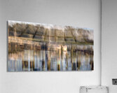 fs240618DW Acrylic Print
