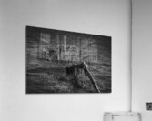FS240607 ROOTS BW2 Acrylic Print