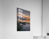FS240723 11 Acrylic Print
