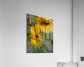 FS240824 50 Acrylic Print