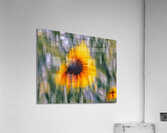 FS240824 450 2 Acrylic Print