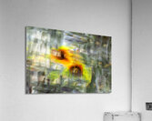 FS240824 410 Acrylic Print
