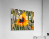 FS240824 450 Acrylic Print