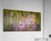 FS240816 02 Acrylic Print
