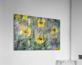 FS240831 68 Acrylic Print